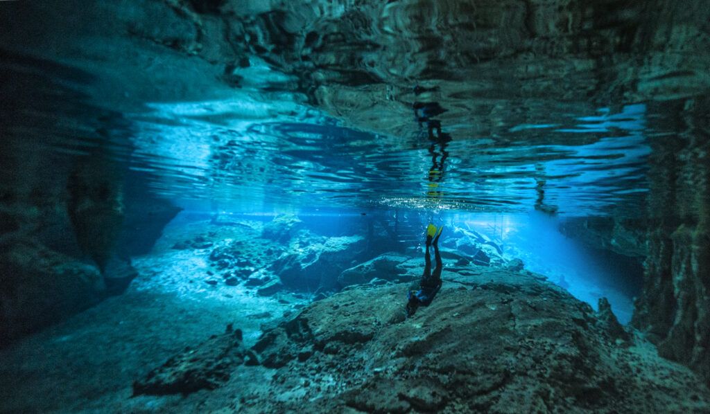 cenote snorkeling Cenote snorkeling tour